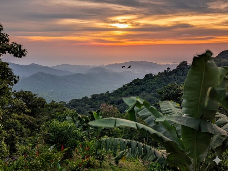 Sunset view from Minca Colombia with tropical jungle in foreground and Santa Marta coastline visible in the distance